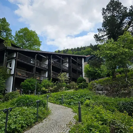 Gaestezimmer Im Parkhotel Wehrle فندق *
